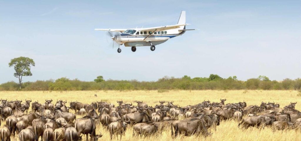 8-Day Luxury Fly-In Serengeti Safari