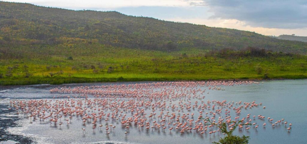 Arusha national park Day trip
